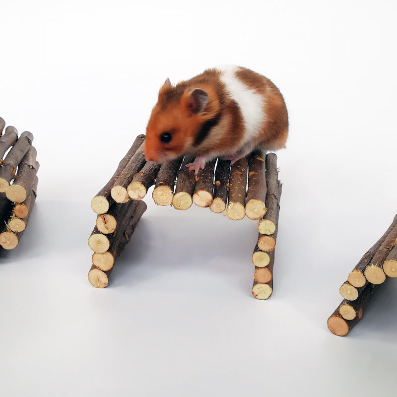 Hamster tunnel