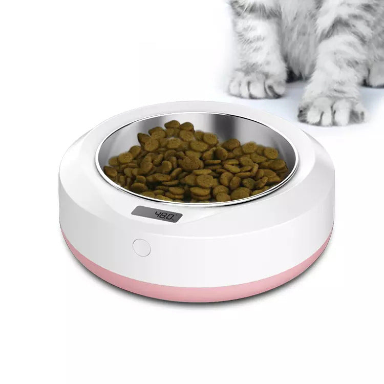 Automatic and portable pet feeder