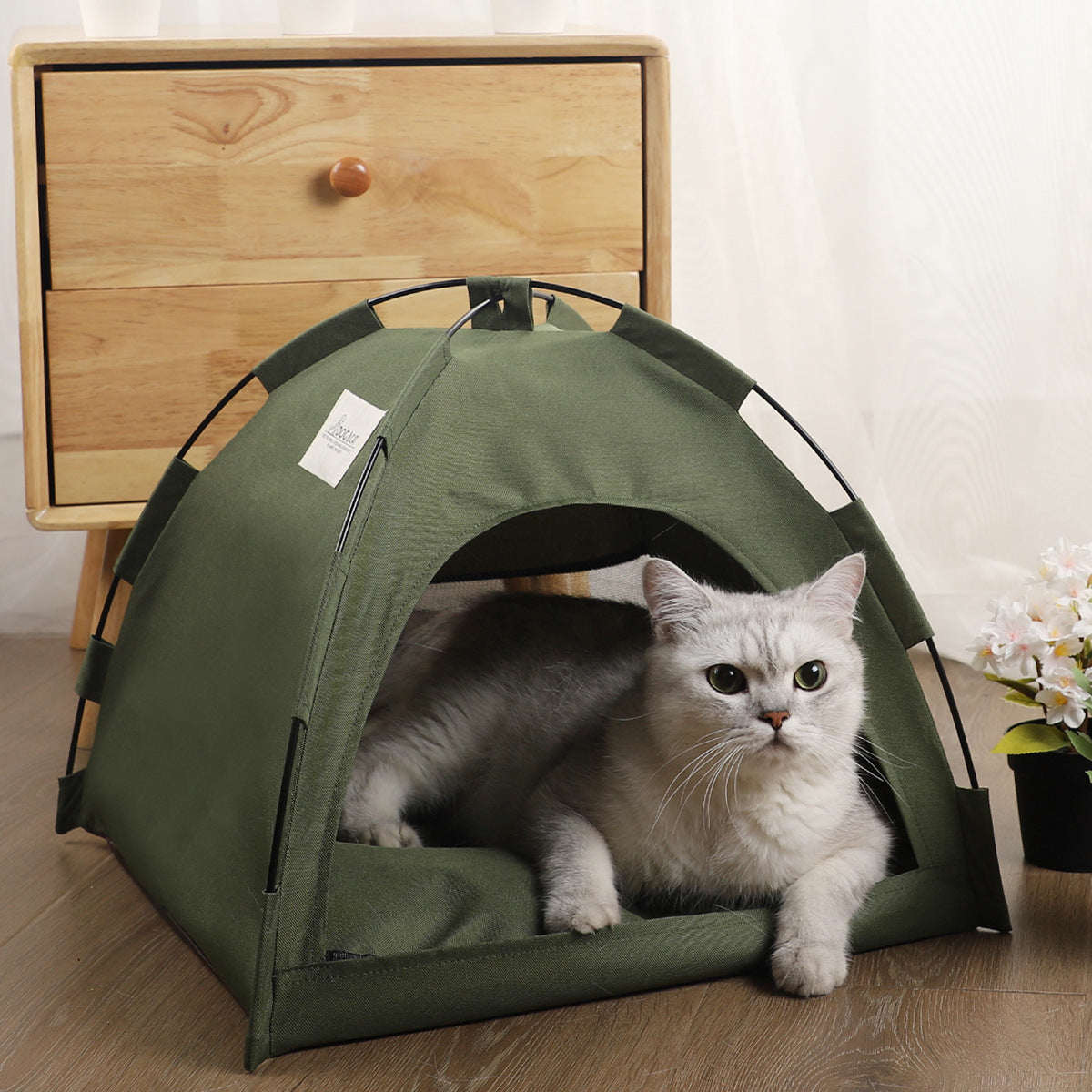 Cat/small dog tent with padded bed for comfort