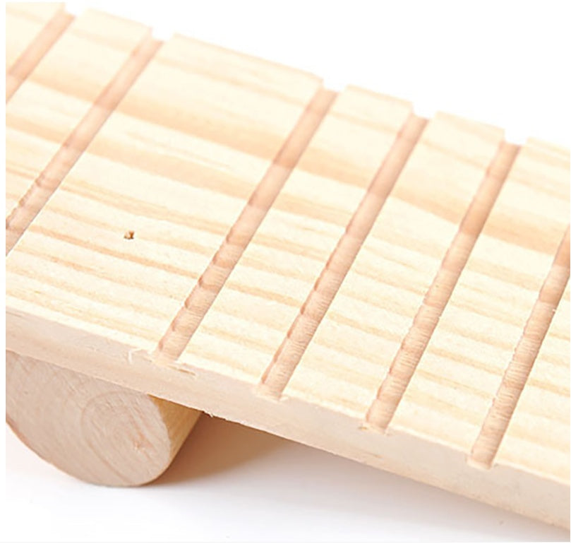 Hamster seesaw