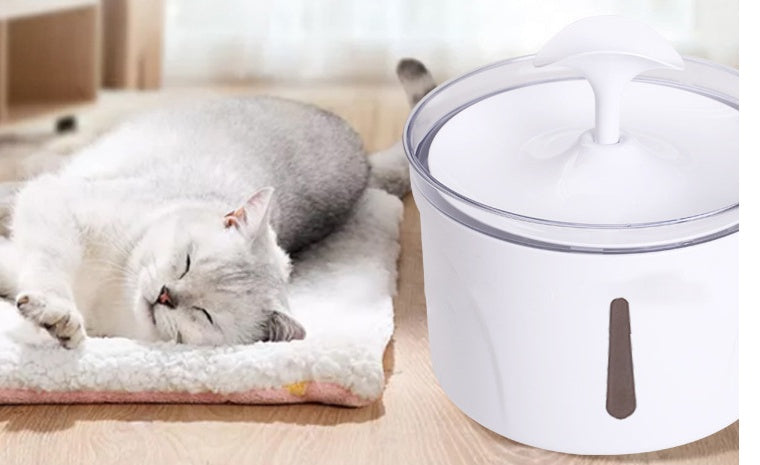 Automatic Water filter for pets