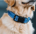 Adjustable dog collars in a range of colours