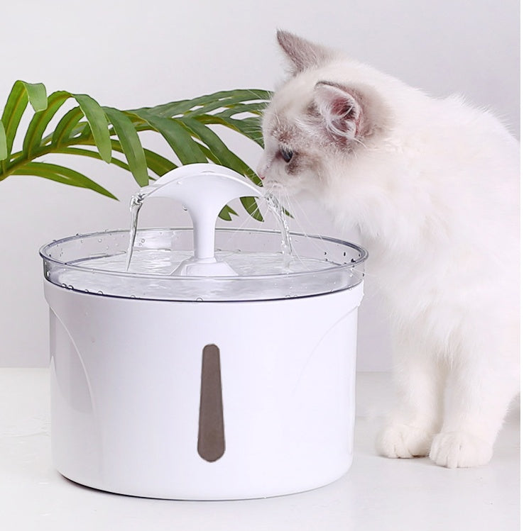 Automatic Water filter for pets