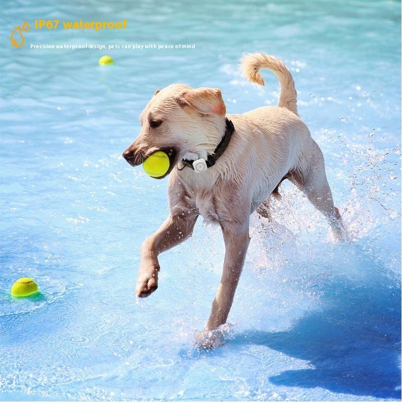 Pet GPS Global Locator with Health Monitoring